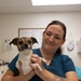 Camp Lejeune Veterinary Treatment Facility Supports Readiness