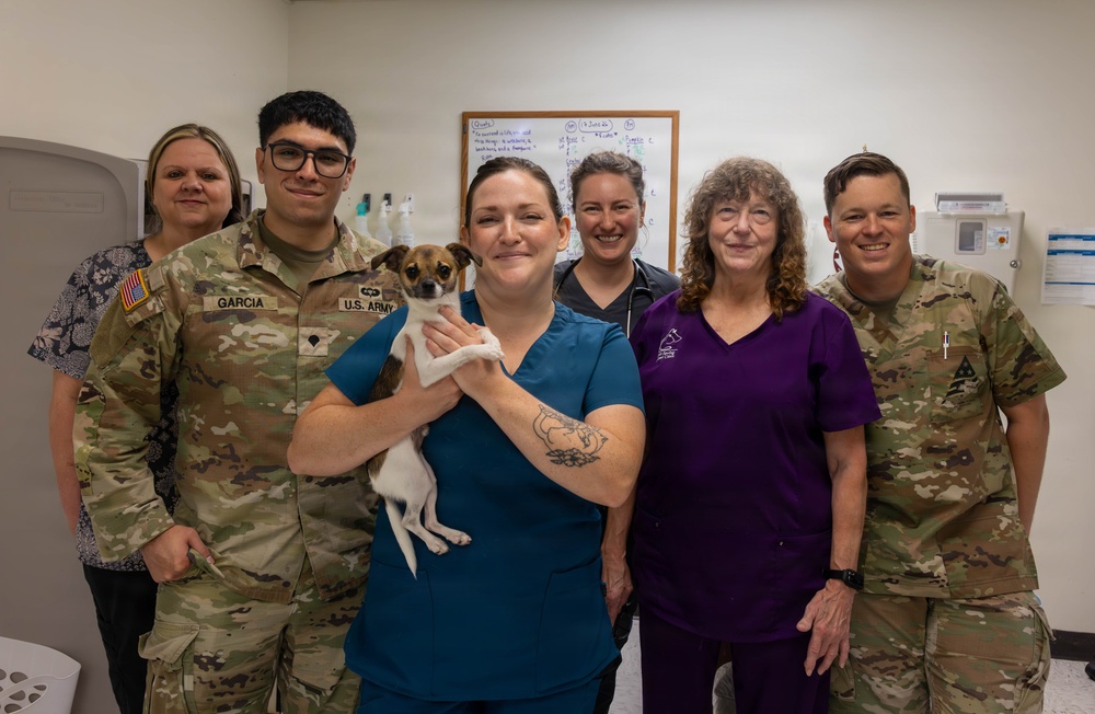 Camp Lejeune Veterinary Treatment Facility Supports Readiness