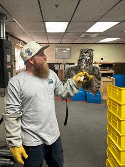 Cleared for Takeoff: Wildlife Biologists mitigate wildlife hazards at March