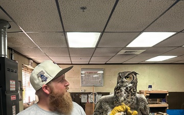 Cleared for Takeoff: Wildlife Biologists mitigate wildlife hazards at March