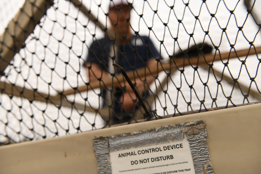 Cleared for Takeoff: Wildlife Biologists mitigate wildlife hazards at March