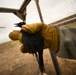 Cleared for Takeoff: Wildlife Biologists mitigate wildlife hazards at March