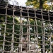 Lima company conducts endurance course
