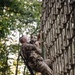 Lima company conducts endurance course