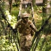 India company conducts combat course