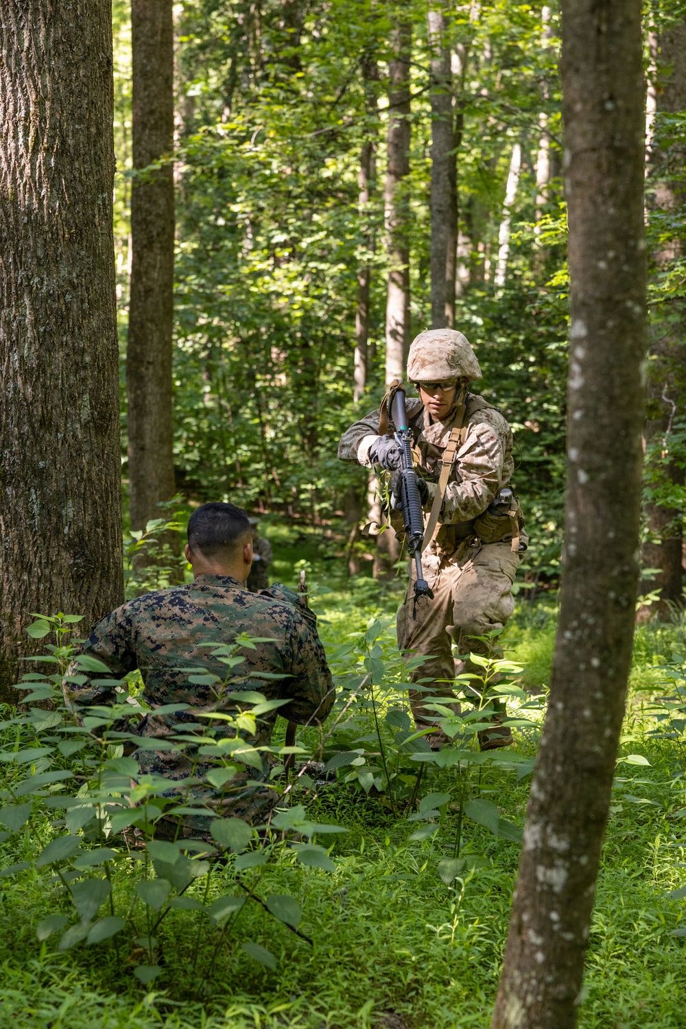 India Company conducts SULE 1