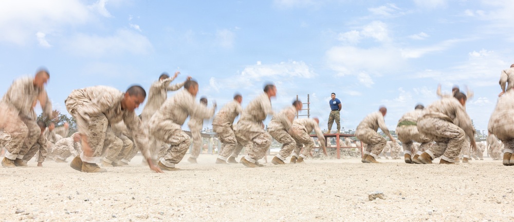 Mike Company Confidence Course