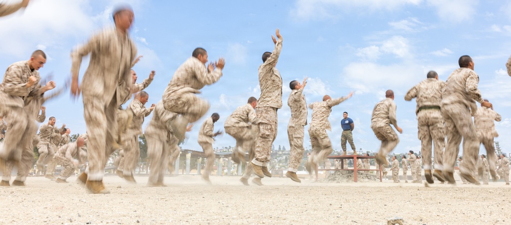 Mike Company Confidence Course
