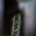 Marines visit Hamahiga Island memorial site