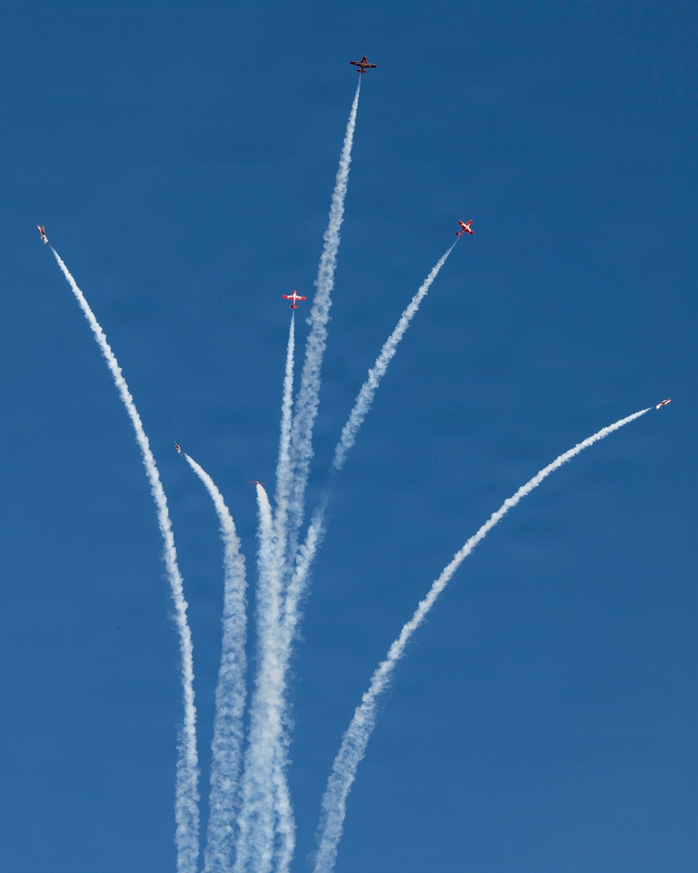 Snowbirds perform at 2026 Columbus Air Show