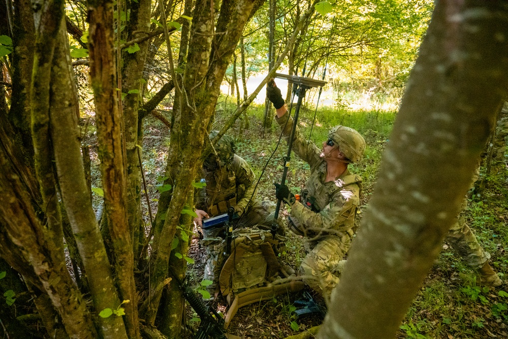 Spectrum Blitz 26