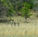 Three individuals in military camouflage uniforms are standing in an open grassy field, appearing to consult a document or map. They are positioned in the middle distance against a backdrop of mixed deciduous and coniferous trees on a hillside. The scene suggests a field training exercise or land navigation activity.