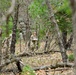 Two individuals in military camouflage uniforms are navigating through a wooded area with sparse undergrowth and fallen branches. One person appears to be holding a document or map, suggesting a land navigation or orienteering exercise. The image is taken from a distance through tree cover, partially obscuring the subjects.