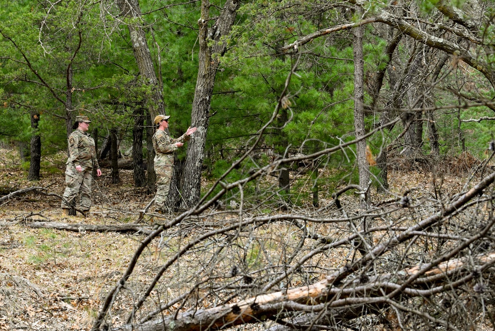 Two individuals in military camouflage uniforms are standing in a wooded area, appearing to examine or discuss something near a tree. The forest setting includes a mix of pine trees and deciduous trees, with fallen branches and dry leaves covering the ground in the foreground. The scene suggests a field training exercise or environmental assessment activity.