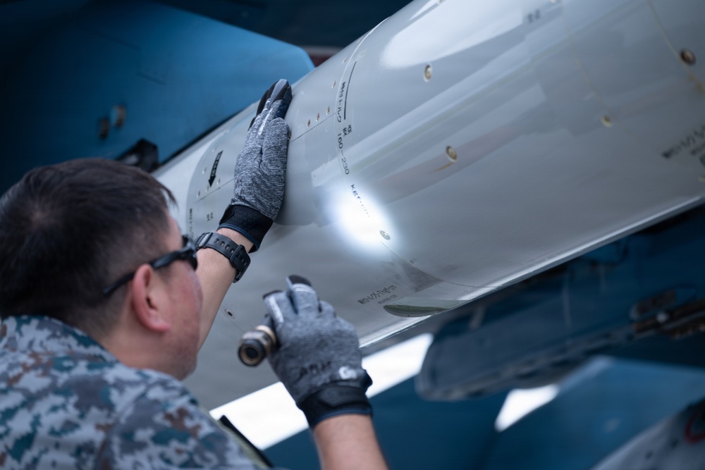 Japan Air Self-Defense Force participates in Valiant Shield 26
