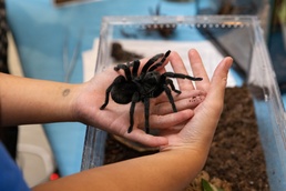Bugapalooza 2026