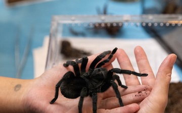 Small Creatures, Big Mission: NMHM Bugapalooza 2026 Connects Science and Military Readiness