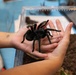 Bugapalooza 2026
