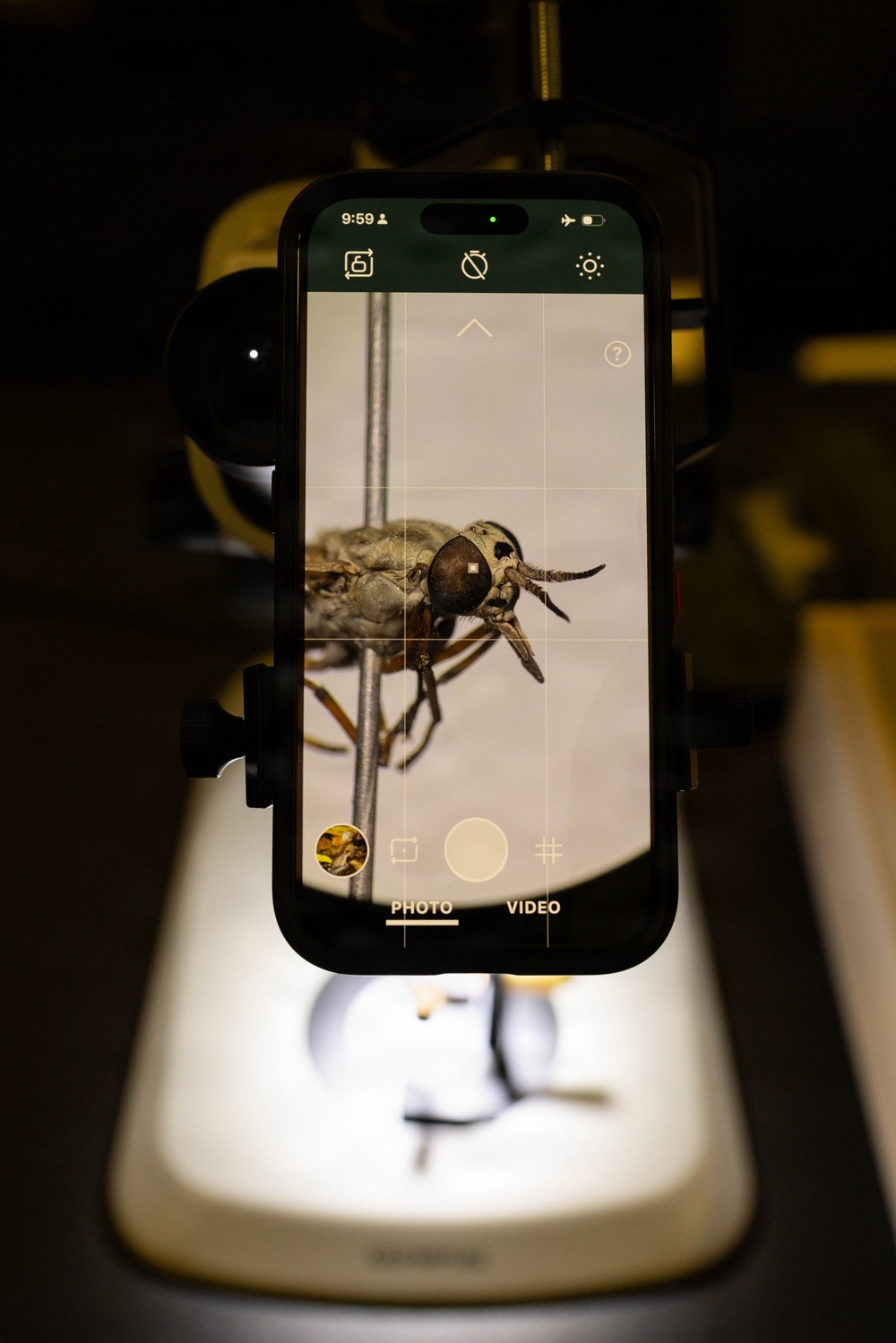 Bugapalooza 2026