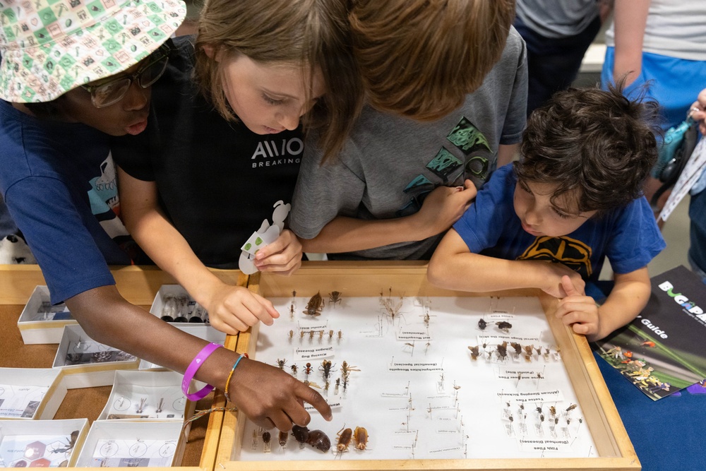 Bugapalooza 2026