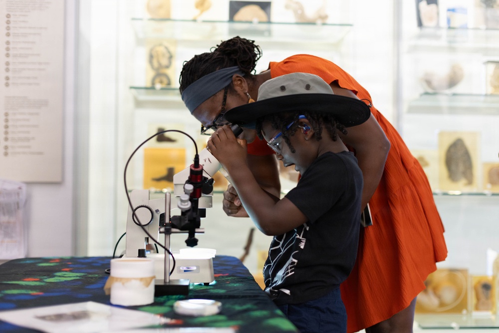 Bugapalooza 2026