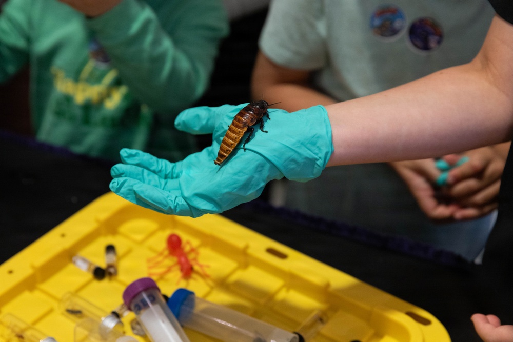 Bugapalooza 2026