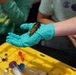 Bugapalooza 2026