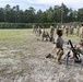 Mortars