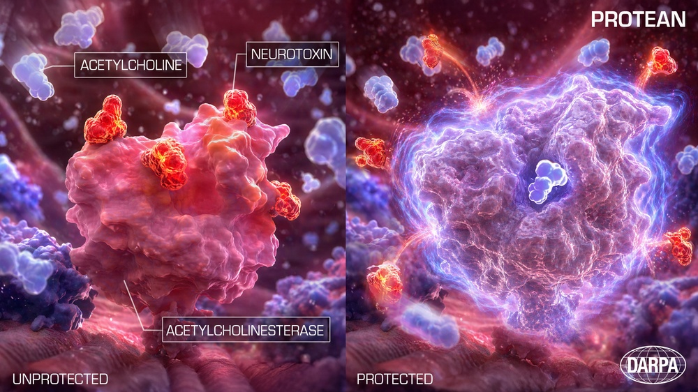 DARPA Program: Protean