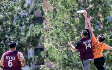 Falcon Fest