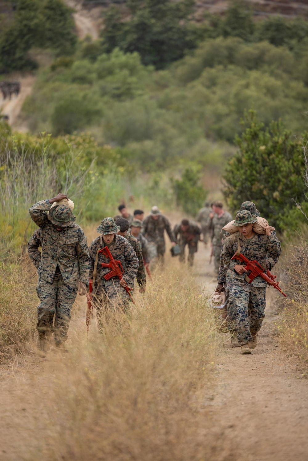 1st ANGLIGO conducts Iron Eagle Challenge