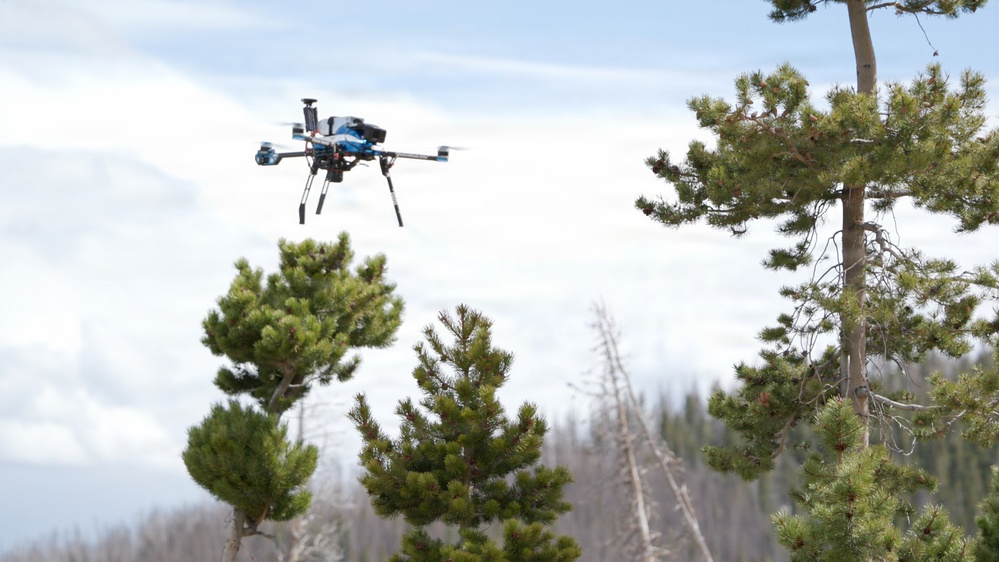Uncrewed Aircraft System Evaluates Post-Fire Reforestation
