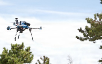From air to algorithm: How drones are training AI models for forest recovery
