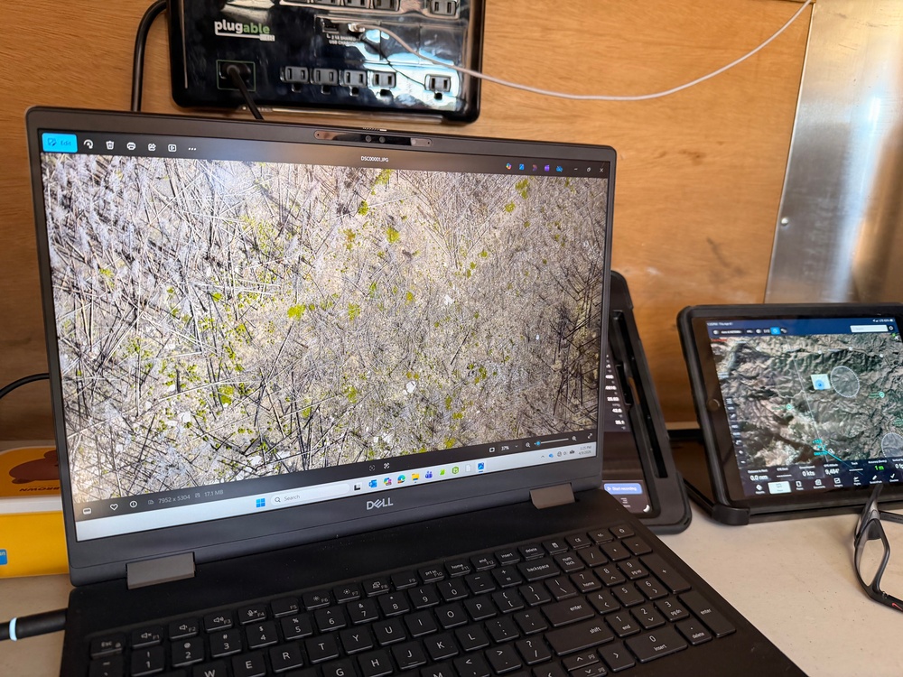 Uncrewed Aircraft System Evaluates Post-Fire Reforestation