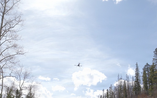 Uncrewed Aircraft System Evaluates Post-Fire Reforestation