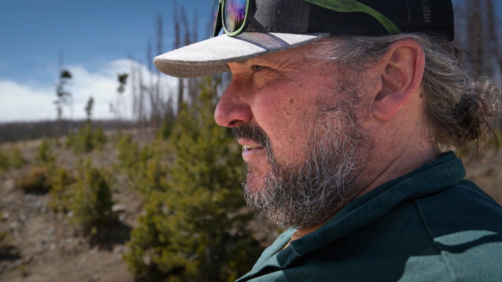 Uncrewed Aircraft System Evaluates Post-Fire Reforestation