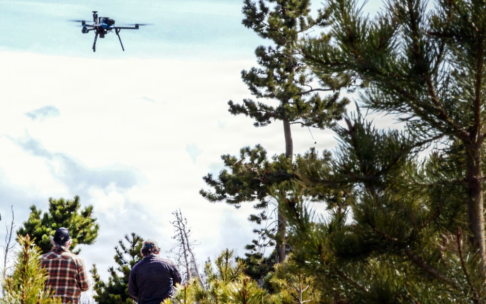 Uncrewed Aircraft System Evaluates Post-Fire Reforestation