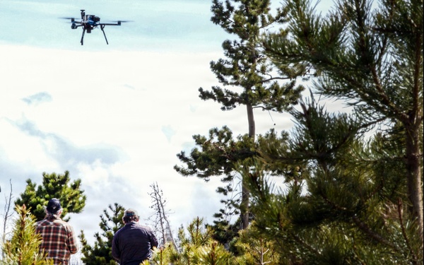 Uncrewed Aircraft System Evaluates Post-Fire Reforestation