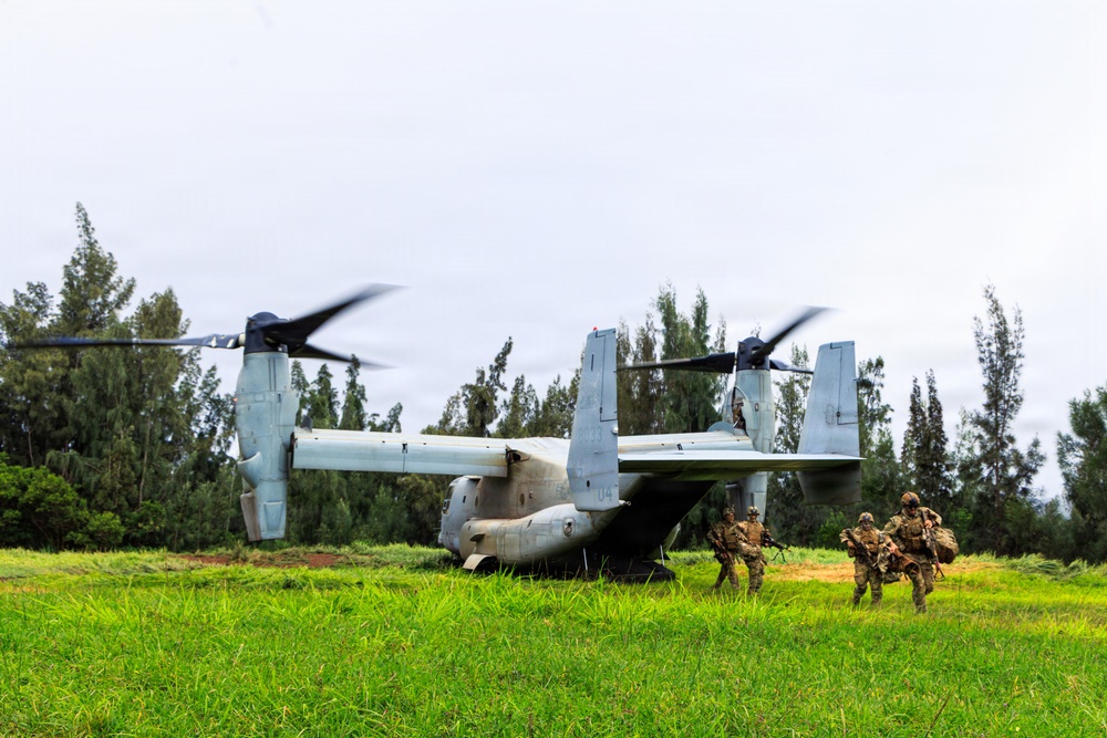 25th Infantry Division Conducts Air Assault and Urban Operations Training