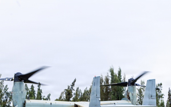 25th Infantry Division Conducts Air Assault and Urban Operations Training