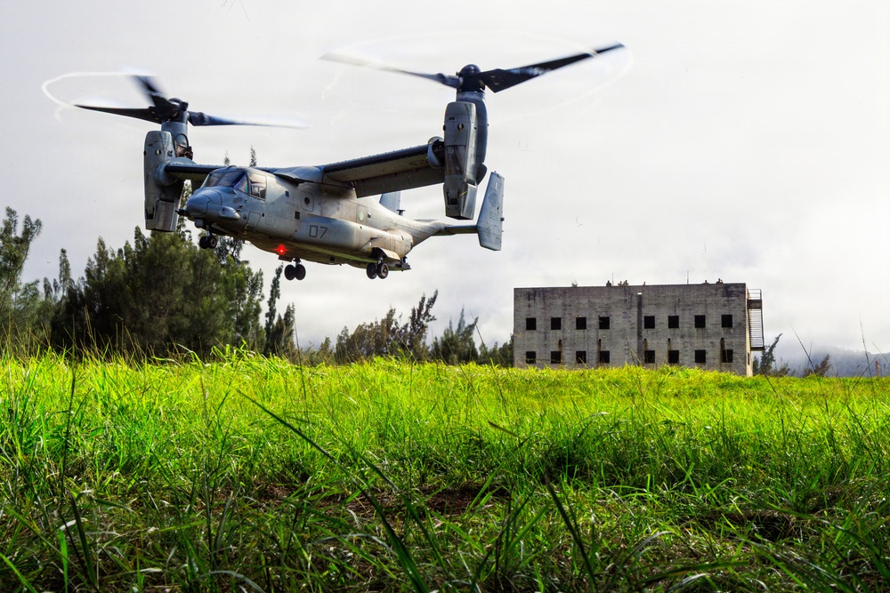 25th Infantry Division Conducts Air Assault and Urban Operations Training