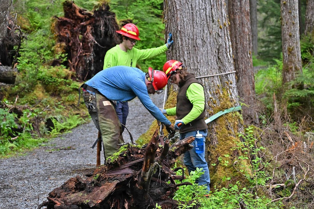 Forest Service and Sitka Trail Works Improve Cross Trail