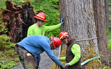Forest Service and Sitka Trail Works Improve Cross Trail