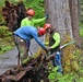 Forest Service and Sitka Trail Works Improve Cross Trail