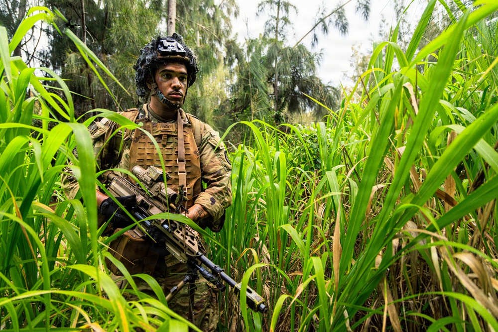 25th Infantry Division Conducts Air Assault and Urban Operations Training