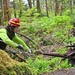 Forest Service and Sitka Trail Works Improve Cross Trail