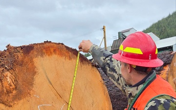 Honker Heli Timber Sale Log Scaling Inspection