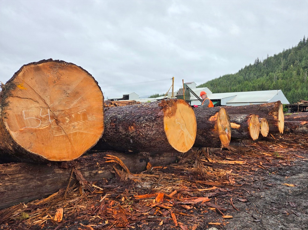 Honker Heli Timber Sale Log Scaling Inspection