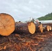 Honker Heli Timber Sale Log Scaling Inspection