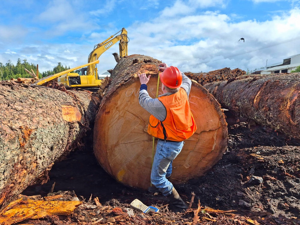 Honker Heli Timber Sale Log Scaling Inspection